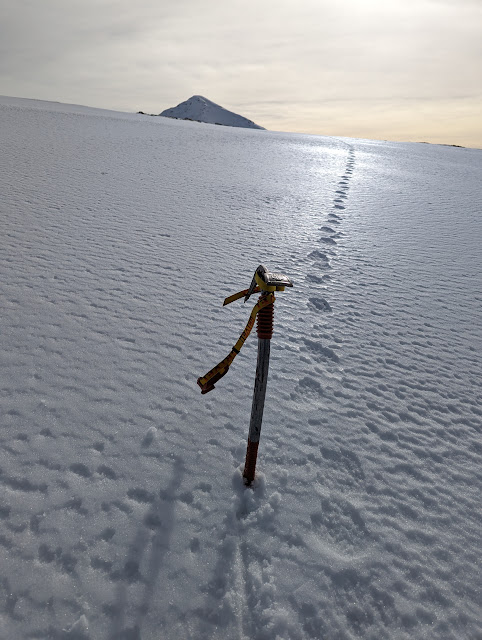 In cammino verso il Sevice