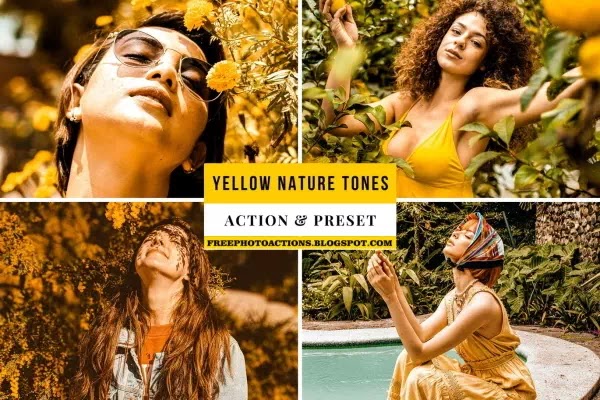 yellow-nature-tones-action-lightroom-preset-6ba38xq