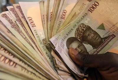 hand holding naira notes