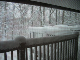 Looking out the backyard - Snowcalypse 2010