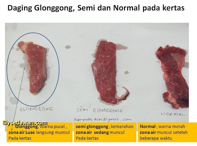 beda daging gelonggongan, daging semi glonggongan dan segar