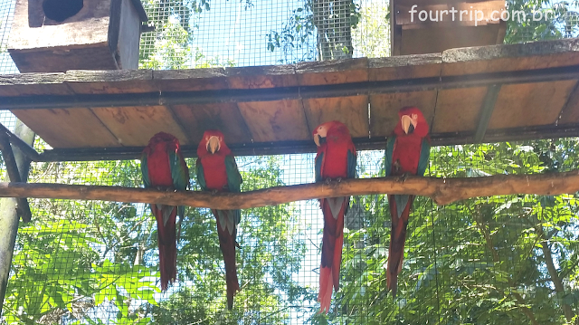 Foz do Iguaçu