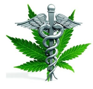 legalização da maconha no mundo legalização maconha