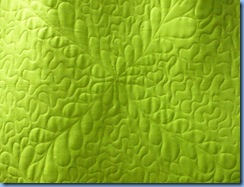 0609 Back of Kiwi Zinger closeup
