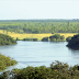 Conozca la impresionante biodiversidad del río Bita, el rincón virgen del Orinoco