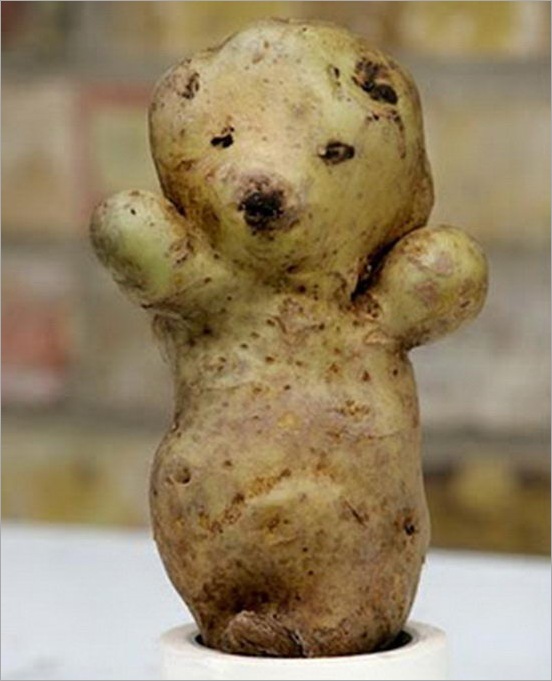 Vegetables unusual shape 12