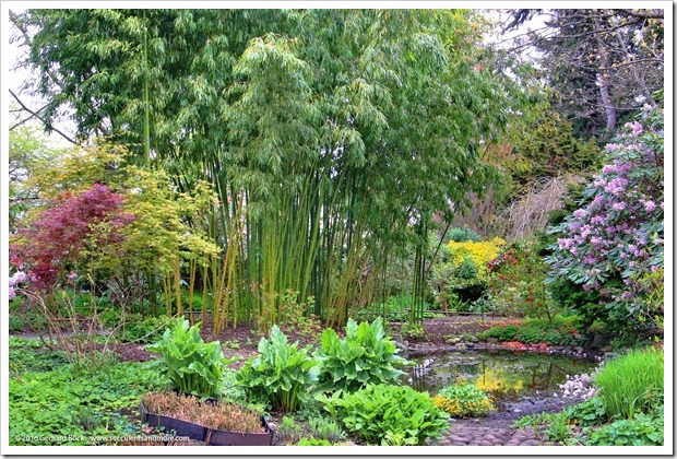 160410_Victoria_UVic_FinnertyGardens_0115