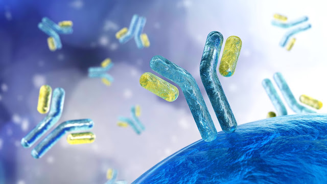 Radioimmunoassay