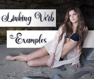 LINKING VERB EXAMPLES