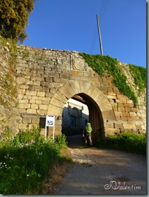 P1030417