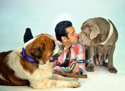 Salman-Khan-kissing-his-dogy-puppies-fullHD-pictures