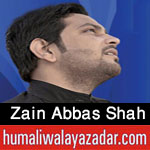 http://www.humaliwalayazadar.com/2016/07/zain-abbas-shah-nohay-2011-to-2017.html