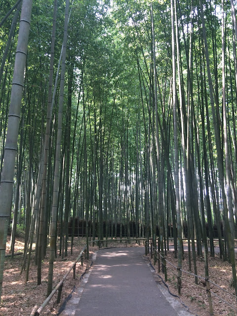 Arashiyama bamboo forest kyoto japan