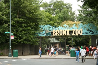 Bronx  on Zoo Del Bronx