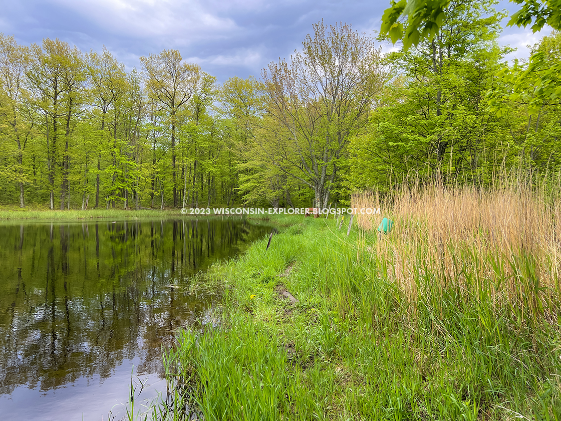 footpath crossing a beaver dam