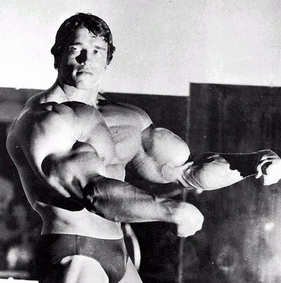 arnold schwarzenegger workout. arnold schwarzenegger workout