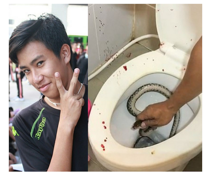 Teenager is bitten on the pen!s by a python while sitting on the toilet