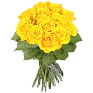 12 yellow roses 256 p