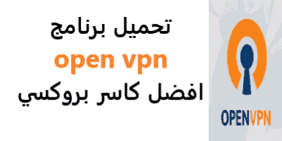 open vpn