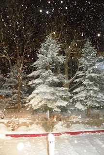 Denver_night_snow1