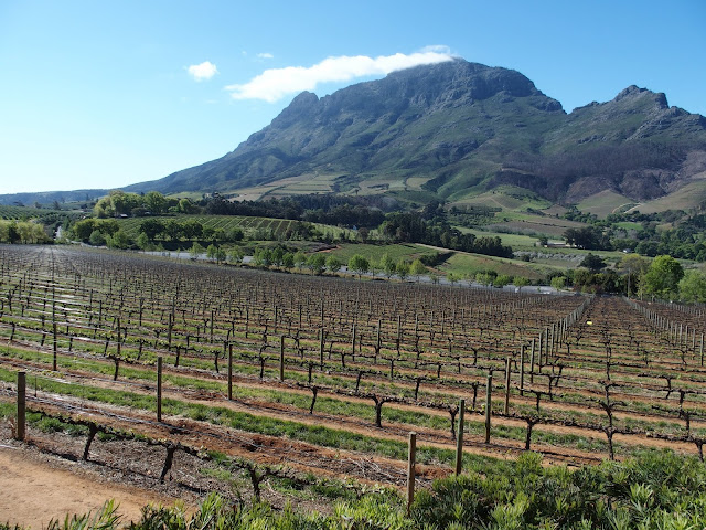 Afrique du Sud, Cap Town, la route des vins, de grands chemins