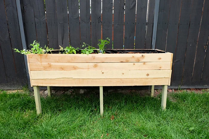 finished cedar fence picket elevated raised planter