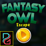 Play Palani Games Fantasy Owl Escape