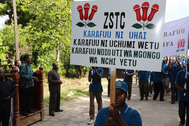 MAKALA: Zao la Karafuu laweza kuwa uti wa mgongo wa Uchumi Zanzibar