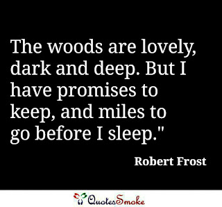 Inspirational Robert Frost Quote