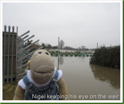 weir weir
