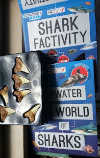 shark factivity set