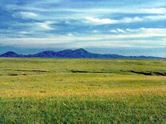 grassland