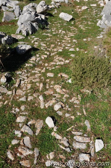 Calzada de Villaluenga a Grazalema