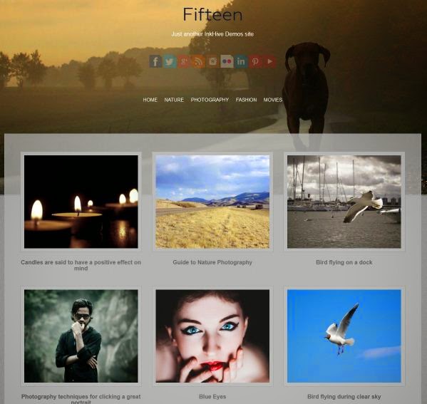 Fifteen Theme For Wordpress By The Bloggers Lab