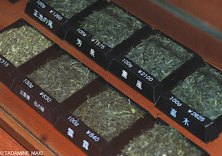 Leaves of green tea