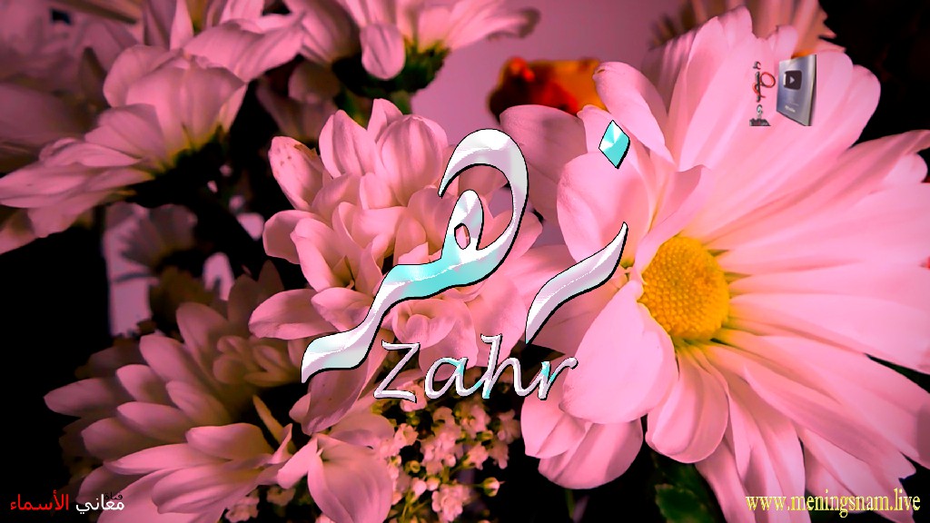 معنى اسم, زهر, وصفات, حامل, وحاملة, هذا الاسم, Zahr,