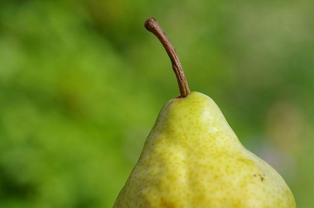 Manfaat Buah Pir Untuk Kesehatan