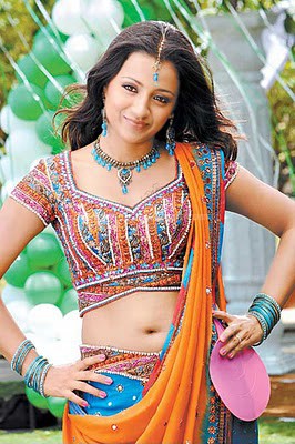 Trisha navel show in transparent saree