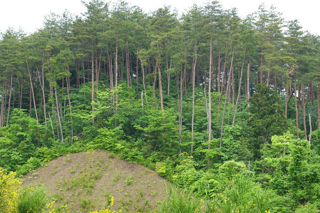 鳥取県米子市淀江町本宮