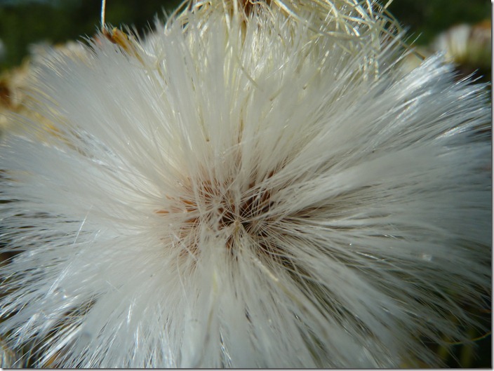 P1080343