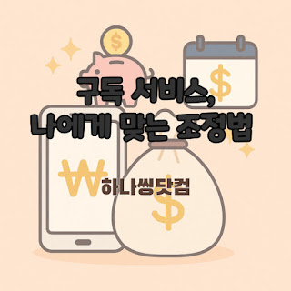 구독 서비스, 나에게 맞는 조정법 📦