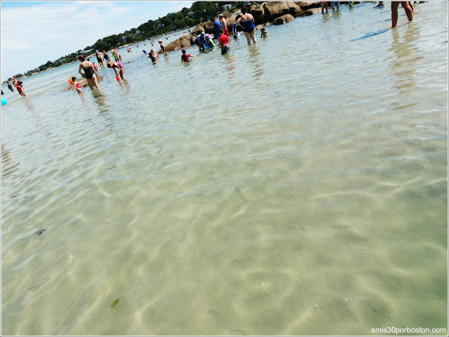 Playas de Massachusetts: Wingaersheek Beach