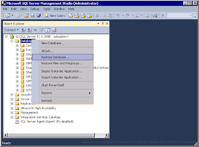 Restore SQL Server Database