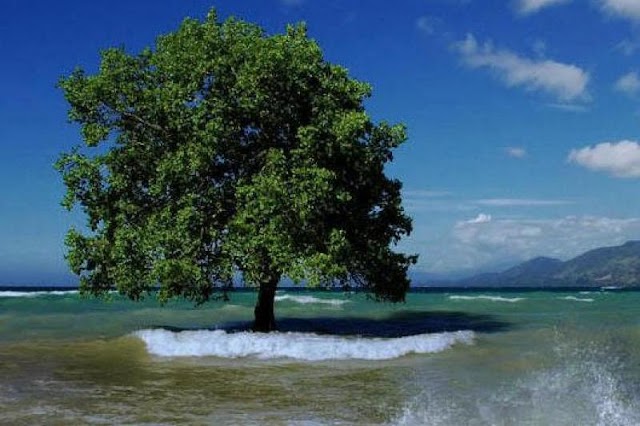 Pantai Mali di Kabupaten Alor, Provinsi Nusa Tenggara Timur