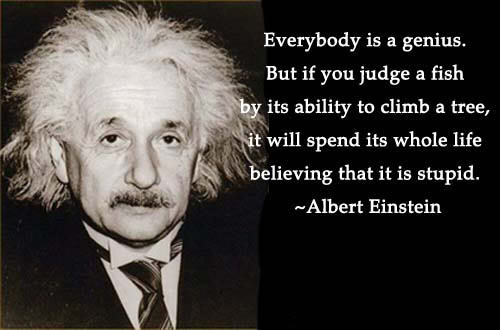 albert einstein quotes