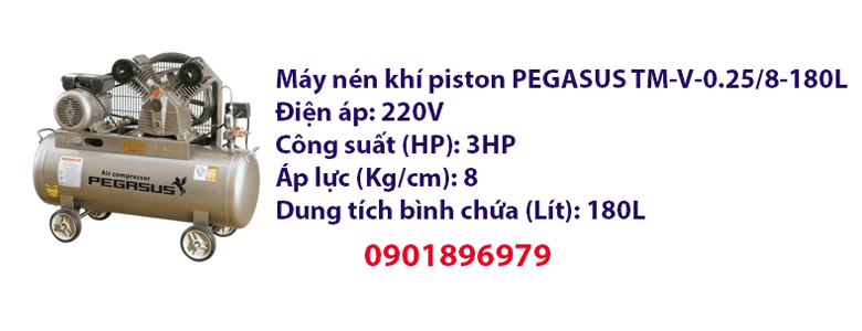 Máy nén khí piston PEGASUS TM-V-0.25/8-180L