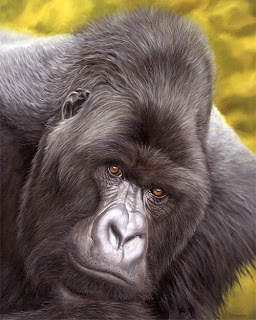 mountain gorilla