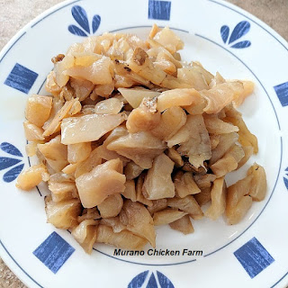 Chopped up scoby for chicken food.