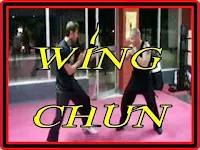 video-wing-chun