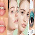 Cosmetic Accessories (Cosmetic Primer)
